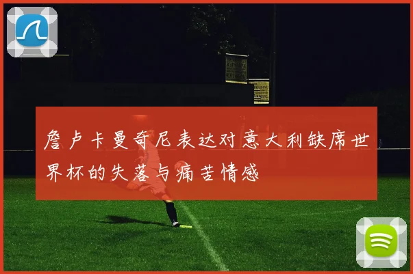 詹卢卡曼奇尼表达对意大利缺席世界杯的失落与痛苦情感